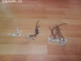 /album/fotogalerie-bazar103/a5857dc13b58d691bc5900100-jpg/
